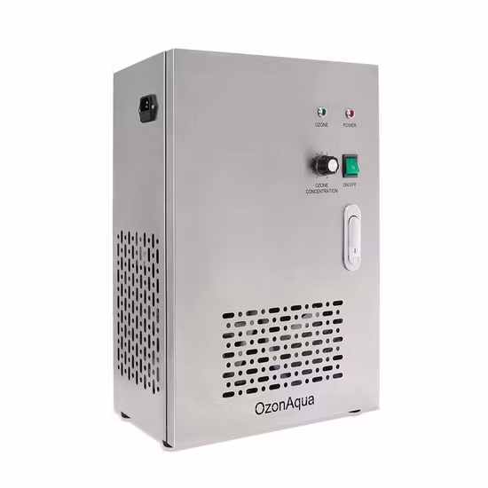 Flygoo 2000L/H Reverse Osmosis Ozone Generator Water Treatment for Drinking Water